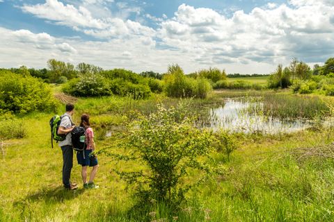 Ein Paar steht in der Natur und schaut auf einen kleinen Teich. Die Umgebung ist grün und mit strahlend blauem Himmel sowie einigen Wolken versehen.