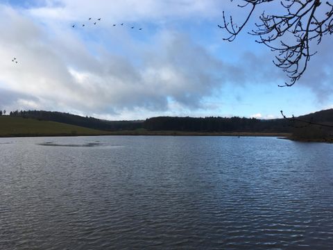 Ein ruhiger See unter einem bewölkten Himmel. Im Hintergrund sind sanfte Hügel und einige Vögel zu sehen.