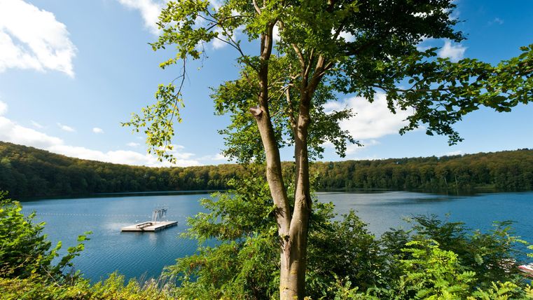 Ein ruhiger See umgeben von Bäumen und grünem Gestrüpp. Der Himmel ist klar und blau, ideal für einen entspannten Tag in der Natur.
