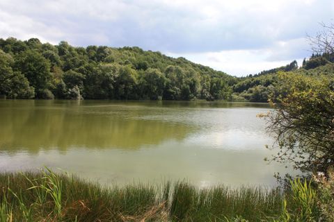 Ein ruhiger See umgeben von grünen Bäumen. Der Himmel ist bewölkt und spiegelt sich sanft im Wasser.