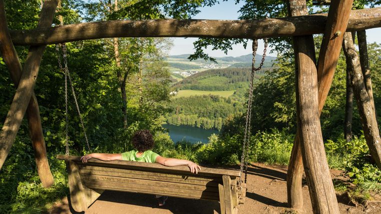 Eine Schaukel steht hoch oben in der Natur und bietet einen Blick auf einen See und die umliegenden Wälder. Eine Person sitzt entspannt auf der Schaukel und genießt die Aussicht.