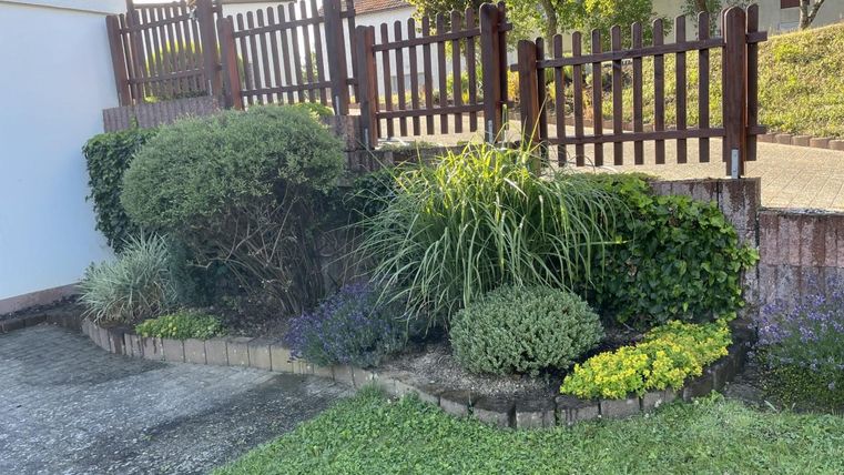 Ein schöner Gartenbereich mit verschiedenen Pflanzen und einer gepflegte Hecke. Dahinter befindet sich ein Holzlattenzaun.