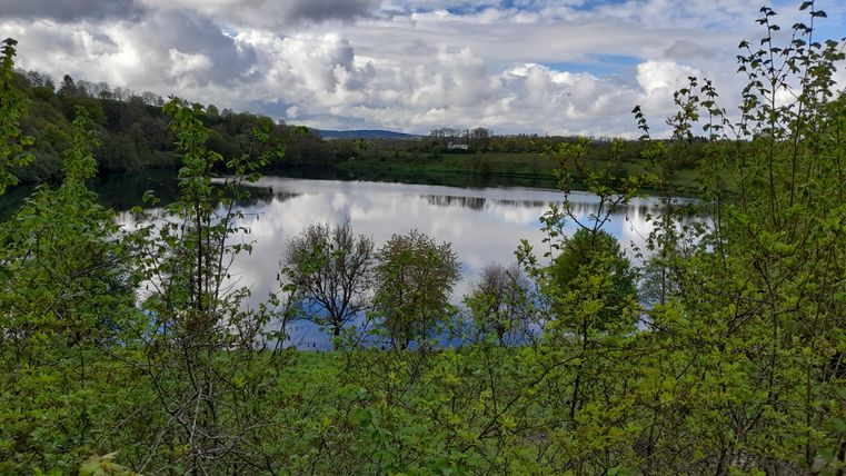 Ein ruhiger See umgeben von grünen Bäumen und sanften Hügeln. Der Himmel ist bewölkt, aber die Landschaft strahlt eine friedliche Atmosphäre aus.