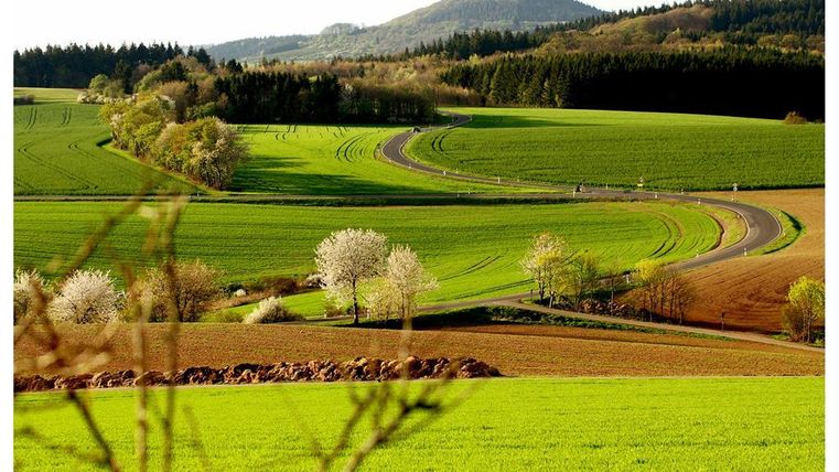 Eine hügelige Landschaft mit grünen Feldern und sanften Kurven. Im Vordergrund blühen Bäume und die Umgebung ist angenehm beleuchtet.