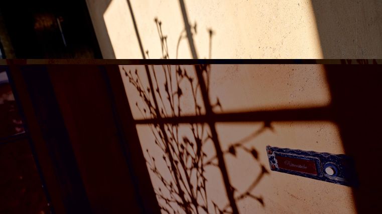 Ein Schatten eines Pflanzenmusters fällt auf eine Wand. Im Hintergrund ist eine Türklinke sichtbar.