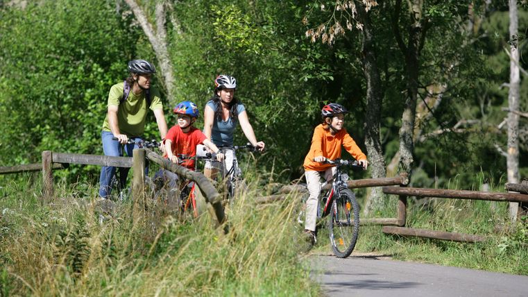 Familie fährt mit Fahrrädern auf einem Waldweg.