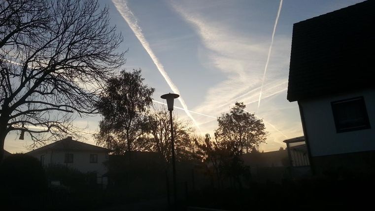 Eine ruhige Morgenlandschaft mit Nebel und silhouettierten Bäumen. Am Himmel sind Flugzeugstreifen und ein sanftes Licht zu sehen.