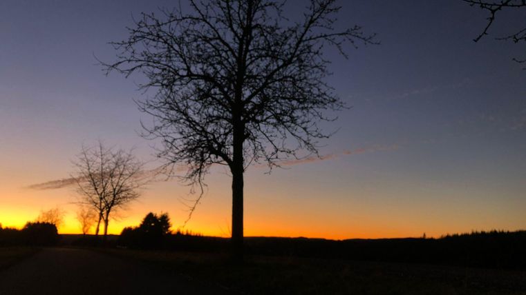 Ein malerischer Sonnenuntergang mit silhouettieren Bäumen. Der Himmel zeigt wunderschöne Farben von Orange und Blau.