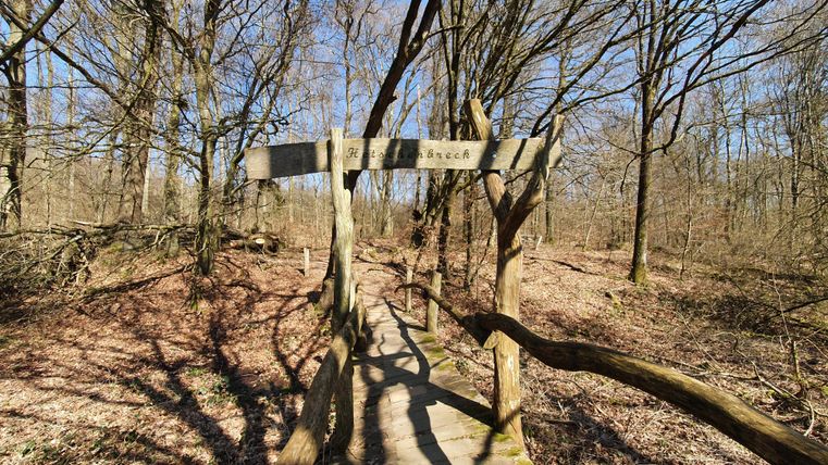 Eine Holzbrücke führt durch einen ruhigen Wald mit kahlen Bäumen. Die Schatten der Äste fallen auf den Boden und zeigen eine friedliche Umgebung.