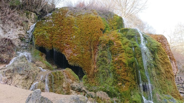 Ein moosbedeckter Felsen mit kleinen Wasserfällen. Die natürliche Umgebung vermittelt eine ruhige und idyllische Atmosphäre.