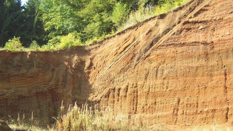 Steile Vulkanwand mit erodierten Schichten, umgeben von grüner Vegetation und Pflanzen im Vordergrund.