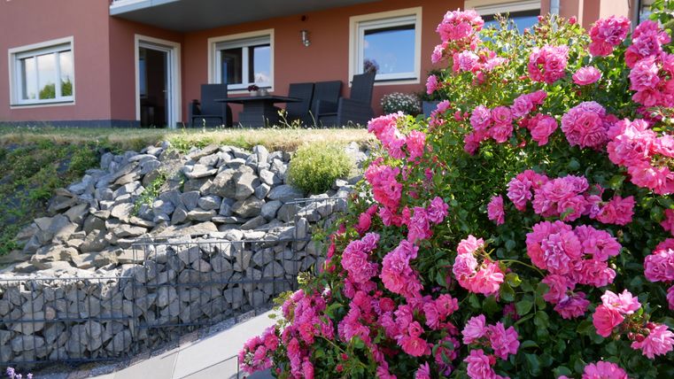 Ein schöner Garten mit rosa Rosenblüten und einem Steinhang. Im Hintergrund ist ein modernes Gebäude mit einem Sitzbereich zu sehen.
