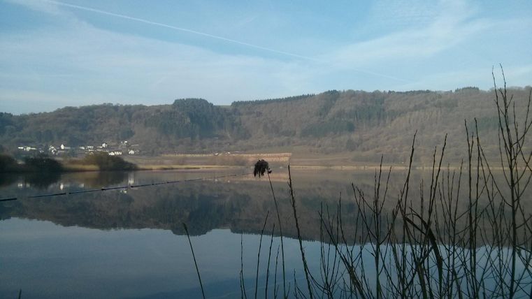Ein ruhiger See mit klarem Wasser und sanften Hügeln im Hintergrund. Die Umgebung ist friedlich und spiegelt die natürliche Schönheit der Landschaft wider.