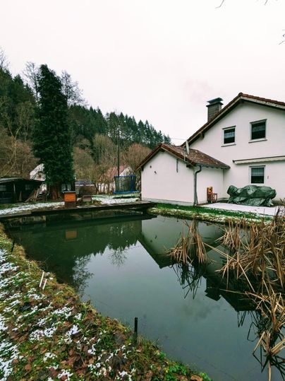 Ein ruhiger Teich neben einem weißen Haus, umgeben von Bäumen und mit schneebedecktem Boden. Die Umgebung ist grün und natürlich, mit einigen trockenen Pflanzen im Wasser.