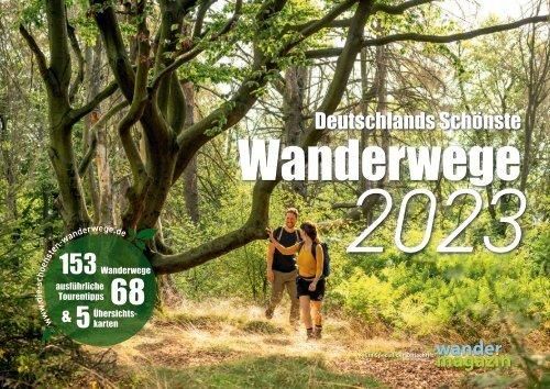 Ein schöner Waldweg mit einem Paar, das wandert. Üppige grüne Bäume und eine einladende natürliche Umgebung.