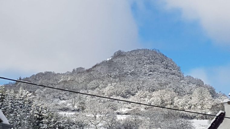 Ein schneebedeckter Berg unter einem klaren blauen Himmel. Der Wald im Vordergrund ist ebenfalls von Schnee bedeckt.