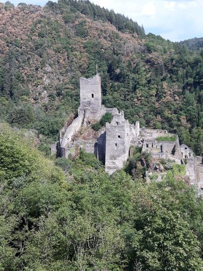 Eine beeindruckende Burgruine inmitten von grünen Wäldern. Die Gebäude sind von Bäumen umgeben und strahlen historische Atmosphäre aus.