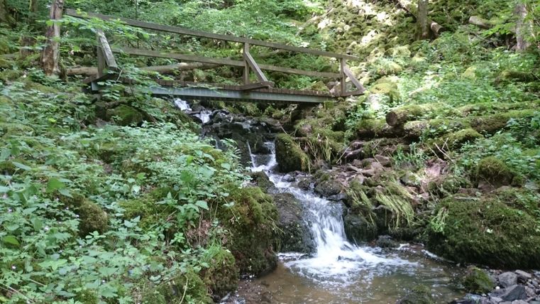 Ein kleiner Wasserfall fließt durch einen grünen Wald. Im Hintergrund ist eine Holzbrücke zu sehen.