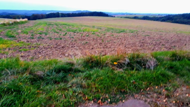 Eine weite, braune Feldlandschaft mit grünen Grasrändern. Im Hintergrund sind sanfte Hügel und ein grauer Himmel zu sehen.