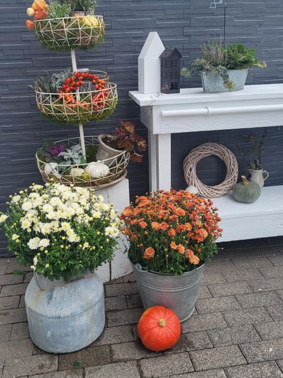 Ein schöner Gartenbereich mit verschiedenen Blumentöpfen und bunten Pflanzen. Im Vordergrund stehen eine orangefarbene Kürbis und zwei große Töpfe mit Blumen.