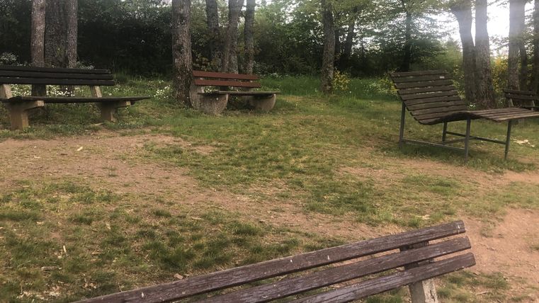 Ein ruhiger Park mit mehreren Bänken unter Bäumen. Der Boden ist mit Gras bedeckt und es gibt einige Blumen in der Nähe.