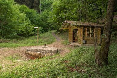 Eine kleine Hütte im Grünen, umgeben von Bäumen und einer ruhigen Umgebung. Ein schmaler Weg führt durch die Natur.