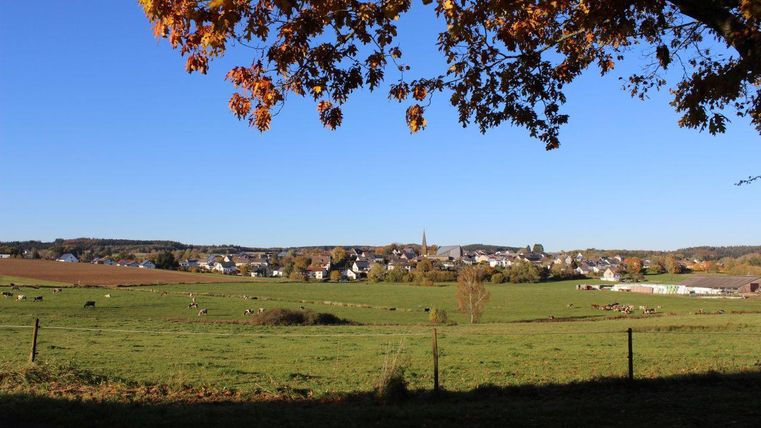 Eine idyllische Landschaft mit grünen Wiesen und einem kleinen Dorf im Hintergrund. Der Himmel ist klar und die Bäume zeigen herbstliche Farben.