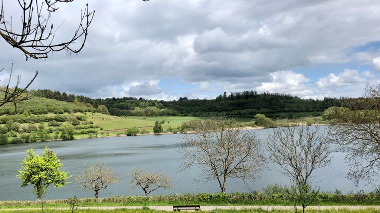 Ein ruhiger See umgeben von grünen Wiesen und Bäumen. Der Himmel ist bewölkt und es ist eine friedliche Landschaft.
