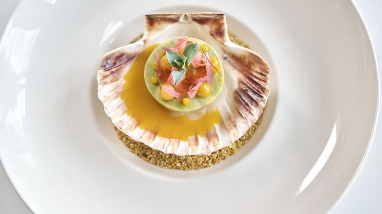 Ein elegantes Gericht mit Jakobsmuscheln in einer Muschel. Es ist kunstvoll angerichtet mit frischem Gemüse und einer klaren Sauce.