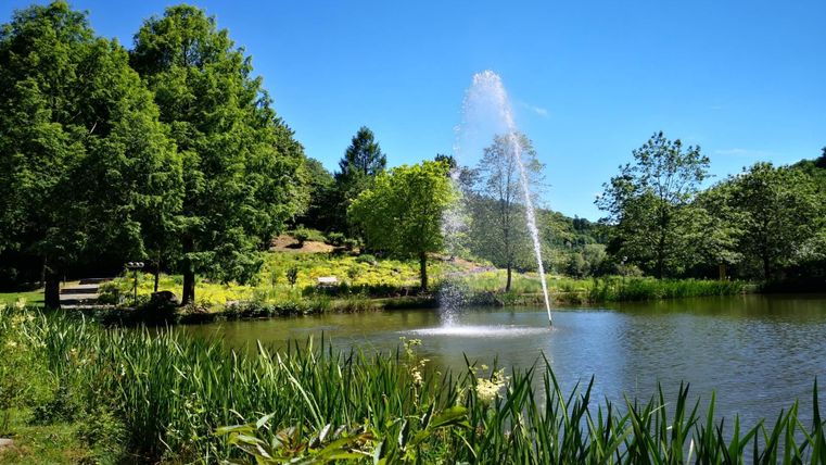 Ein ruhiger Teich mit einem Springbrunnen und umgebenden Bäumen. Die Landschaft ist grün und sonnig.