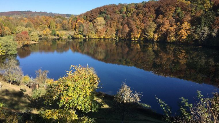 Ein ruhiger See umgeben von buntem Herbstwald. Die Farben der Blätter spiegeln sich im klaren Wasser.