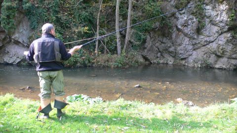Ein Mann angelt an einem ruhigen Fluss. Die Umgebung ist grün mit Bäumen und Felsen im Hintergrund.
