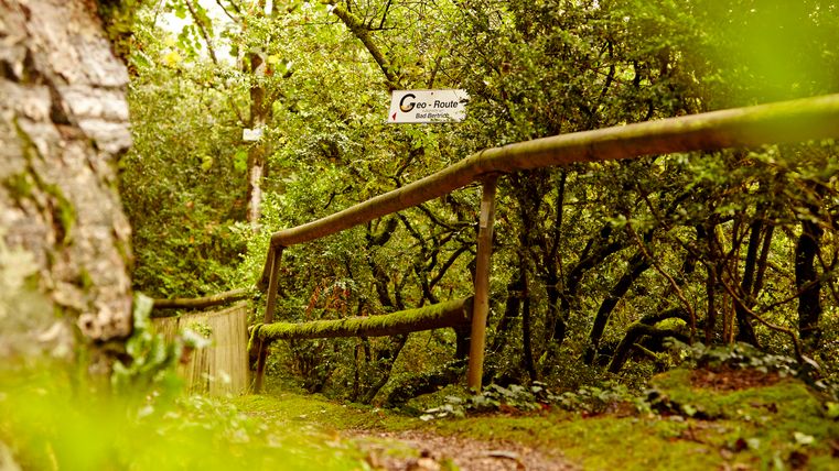 Ein Wanderweg im grünen mit einem Holzzaun und einem Schild mit der Inschrift " Geo-Route Vulkaneifel um Bad Bertrich".