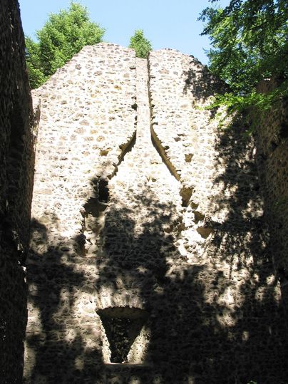 Ruinen einer alten Mauer in einem Wald. Licht und Schatten spielen auf den Steinen der Struktur.