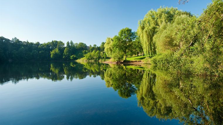 Ein ruhiger See umgeben von grünen Bäumen und strahlendem Himmel. Die Spiegelung des Ufers im Wasser ist deutlich sichtbar.