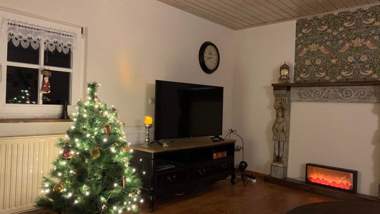 Ein gemütlicher Raum mit einem Weihnachtsbaum, der mit Lichtern geschmückt ist. Im Hintergrund steht ein Fernseher und ein elektrischer Kamin.