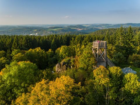 Holzaussichtsturm inmitten eines herbstlichen Waldes mit weitem Blick über die Landschaft.