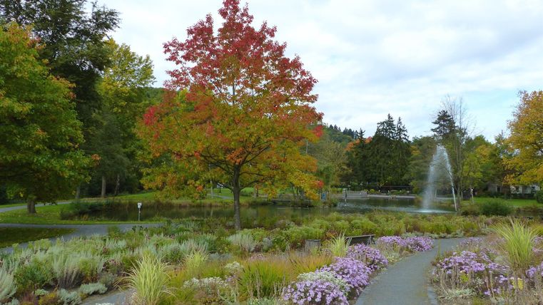 Ein schöner Park mit bunten Bäumen und einem Teich. Im Hintergrund sprudelt ein Brunnen und die Landschaft ist mit Blumen geschmückt.