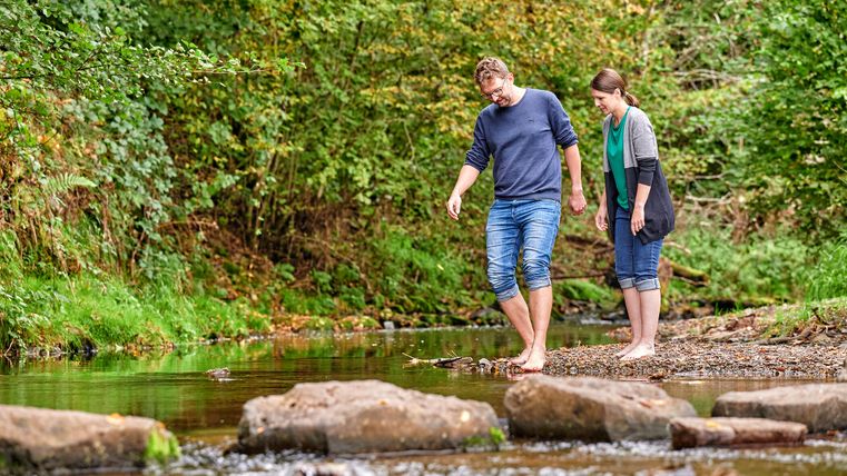 Zwei Personen gehen barfuß durch einen flachen Bach in einer grünen Waldlandschaft.