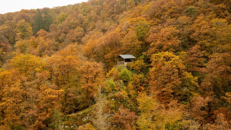 Ein schöner Wald im Herbst mit bunten, orangefarbenen Blättern. Ein kleines Häuschen ist in der Mitte der Bäume zu sehen.