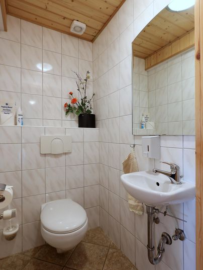 Ein kleines, modernes Badezimmer mit weißen Fliesen und einer Holzdecke. Es enthält eine Toilette, ein Waschbecken und einige Pflanzen zur Dekoration.