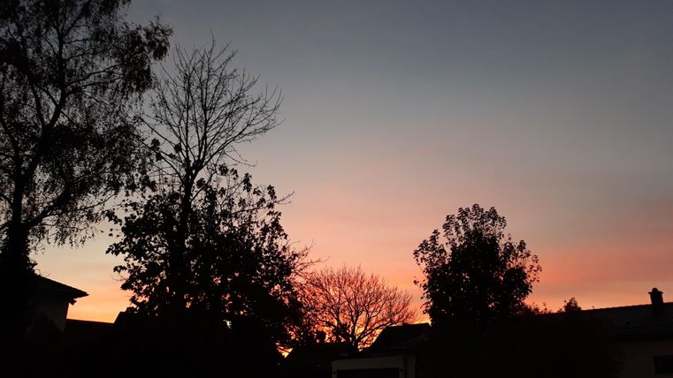 Ein schöner Sonnenuntergang mit bunten Farben am Himmel. Silhouetten von Bäumen und Gebäuden sind im Vordergrund sichtbar.