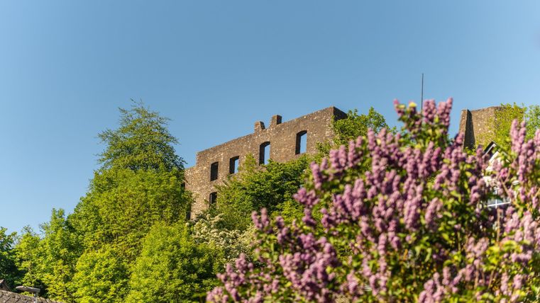 Ein altes Gemäuer liegt zwischen grünen Bäumen und blühenden Pflanzen. Der Himmel ist klar und blau.