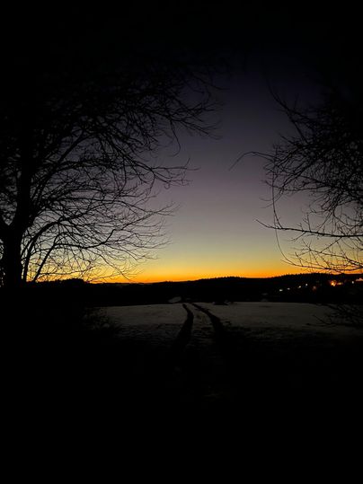 Ein ruhiger Sonnenuntergang über einer winterlichen Landschaft. Silhouetten von Bäumen umrahmen den Himmel in sanften Farben.