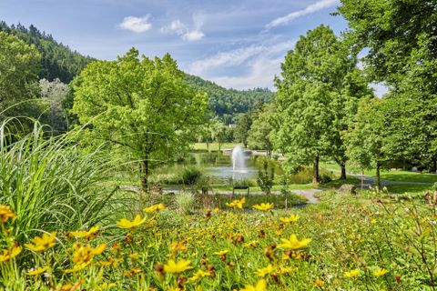 Ein schöner Park mit bunten Blumen und üppigem Grün. Im Hintergrund ist ein Teich mit einem sprudelnden Brunnen zu sehen.