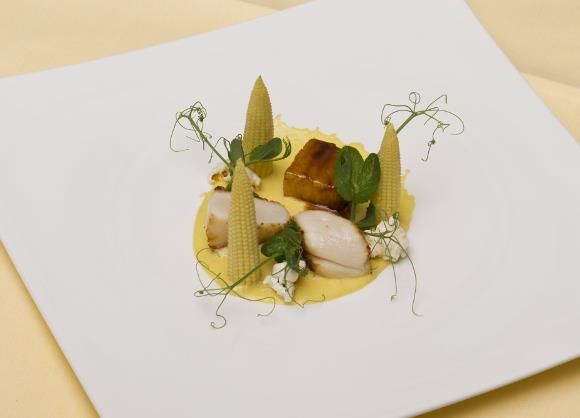 Ein kunstvoll angerichteter Teller mit zartem Fisch, kleinen Maiskolben und einer cremigen Sauce. Das Gericht ist mit frischen Kräutern garniert und auf einem eleganten weißen Teller serviert.