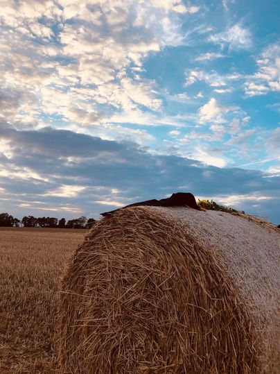 Eine große Heuballen steht auf einem Feld unter einem weiten, bewölkten Himmel. Die Farben des Himmels wechseln zwischen Blau und Grau, was eine ruhige Atmosphäre schafft.
