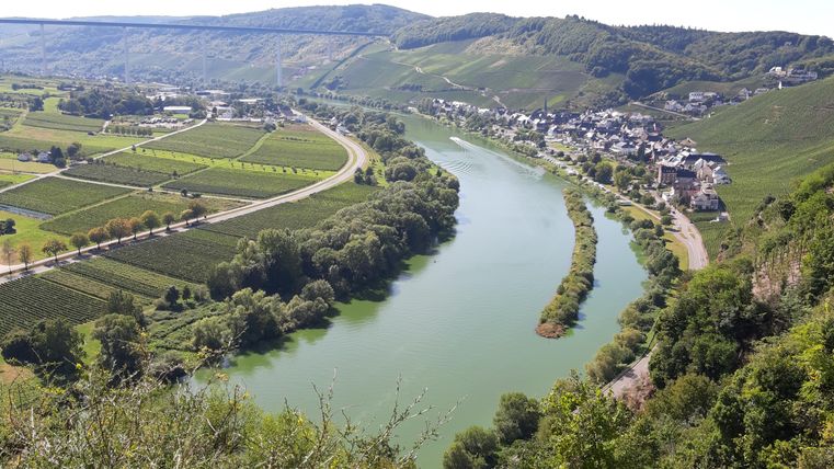 Eine malerische Landschaft mit einem ruhigen Fluss, umgeben von Weinbergen und sanften Hügeln. Im Hintergrund sind kleine Häuser und Straßen sichtbar.