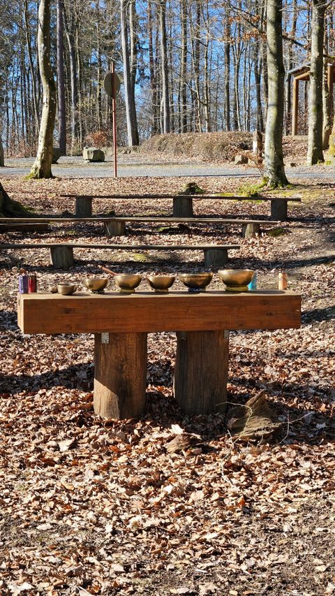 Ein Holztisch im Wald mit mehreren Schalen darauf. Die Umgebung ist mit Laub bedeckt und die Bäume sind kahl.