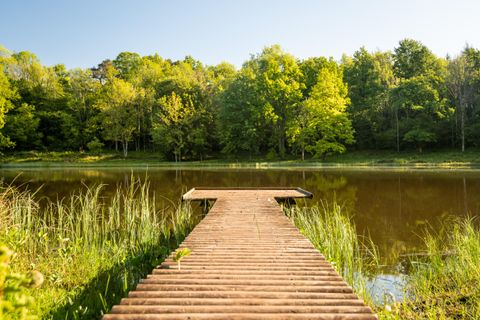 Ein malerischer Steg führt zu einem ruhigen See, umgeben von dichtem grünen Wald. Die Sonne scheint und reflektiert sanft auf der Wasseroberfläche.